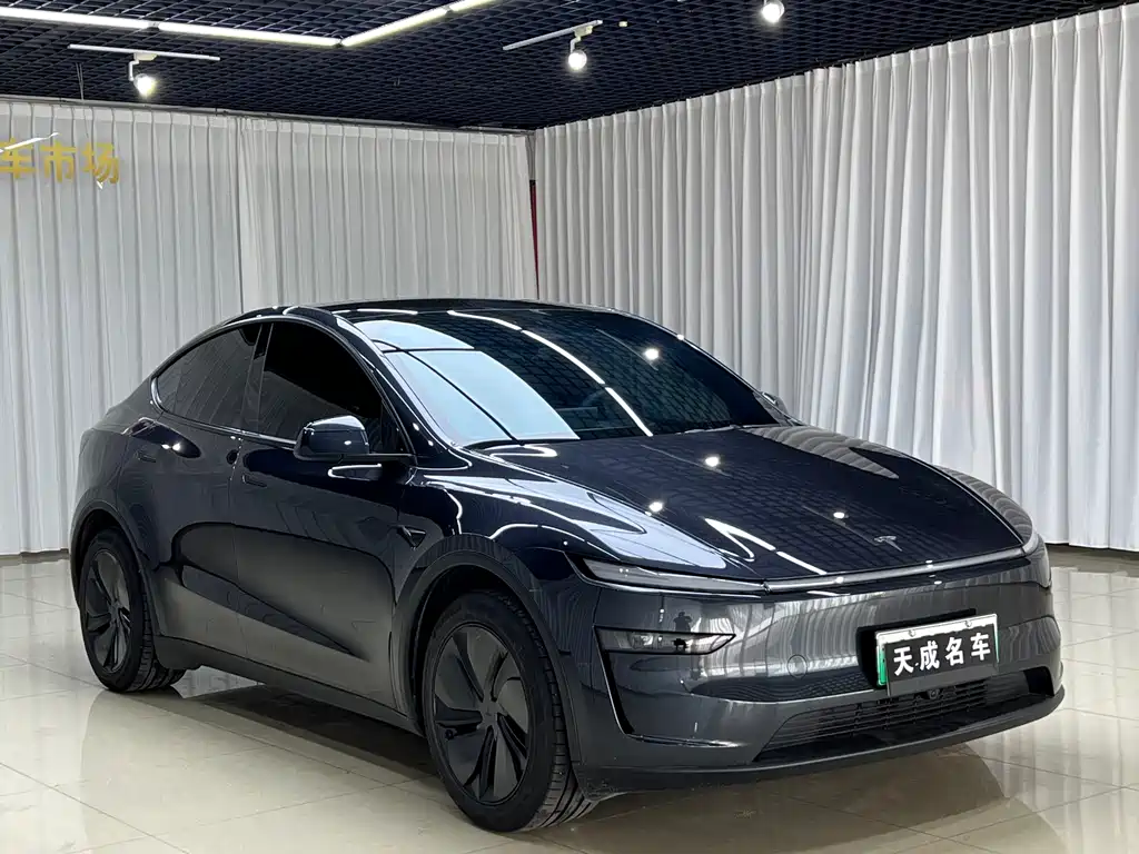 Tesla Model Y — миниатюра 3
