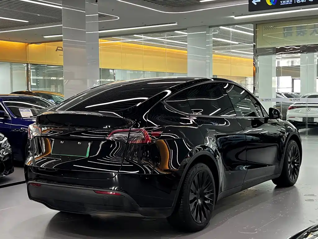 Tesla Model Y — миниатюра 3