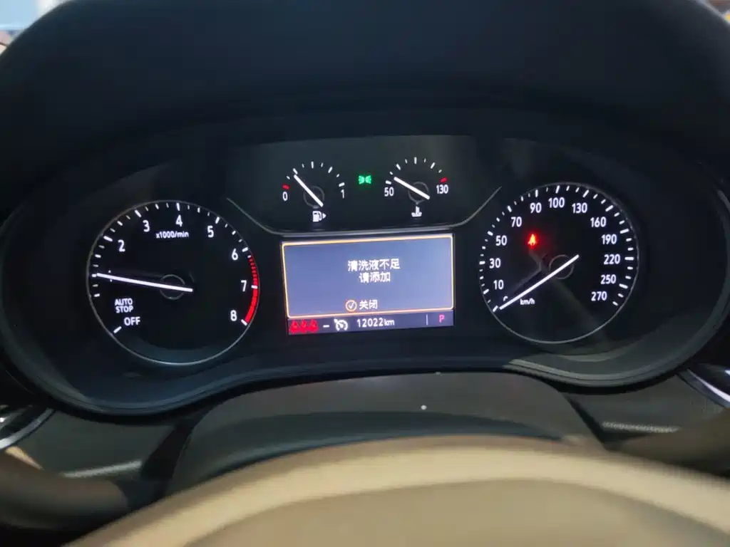 Buick Regal — миниатюра 12