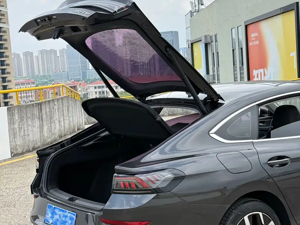 Volkswagen Lamando — миниатюра 5
