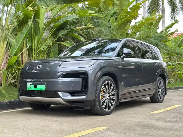2025 Denza N9