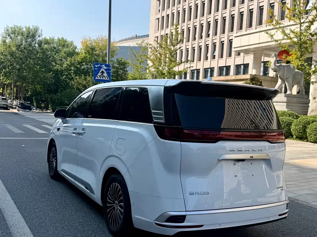 Denza Denza D9 — миниатюра 5