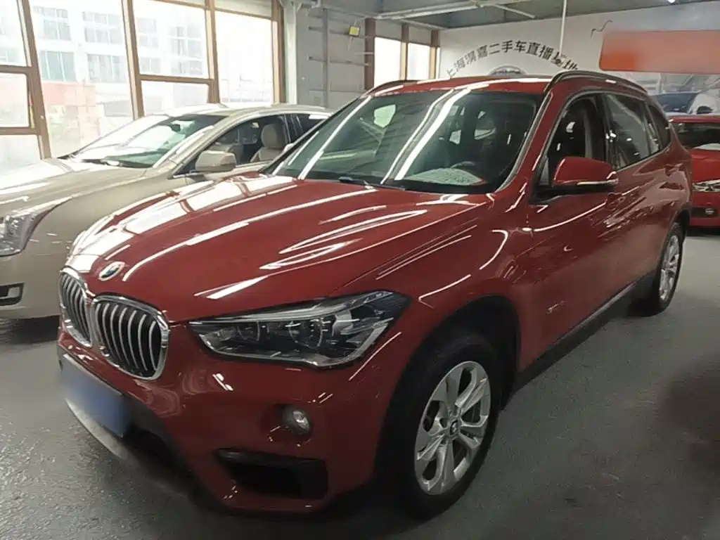 BMW X1 — миниатюра 2