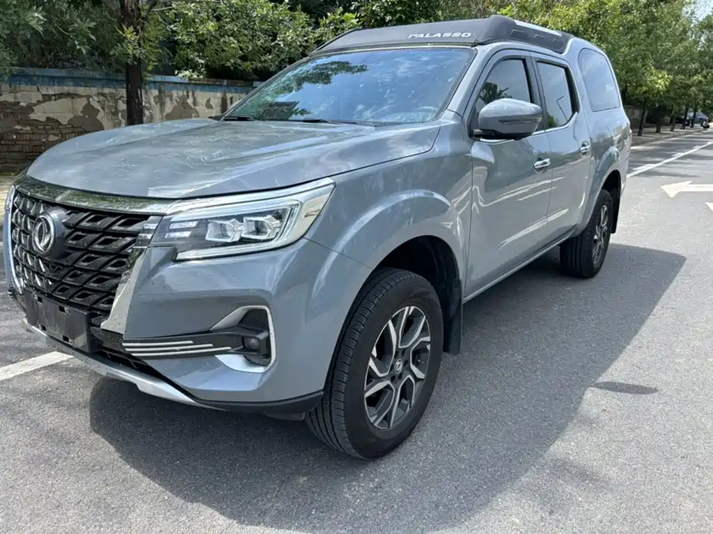 Dongfeng Palasso — миниатюра 2
