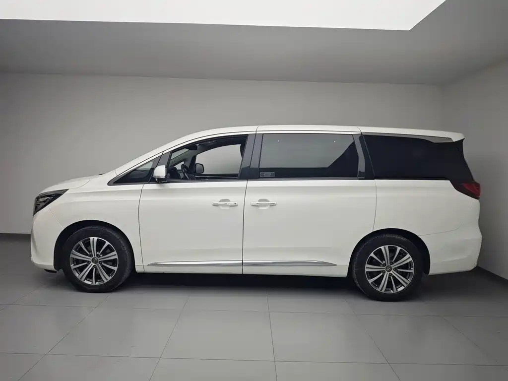 GAC Motor Trumpchi M8 — миниатюра 4