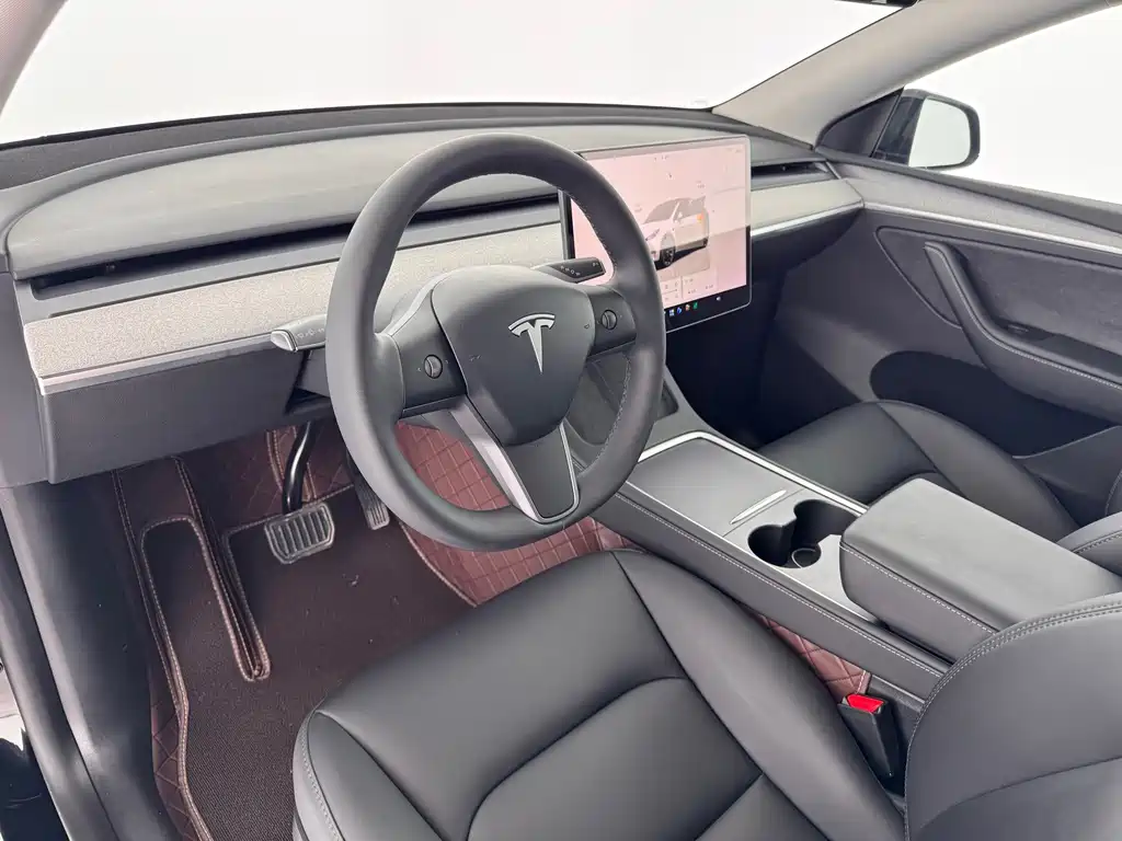 Tesla Model Y — миниатюра 5