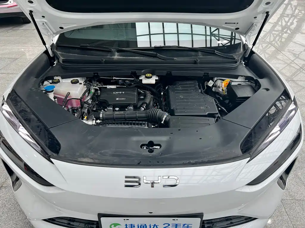 BYD SEA LION 06 NEW ENERGY