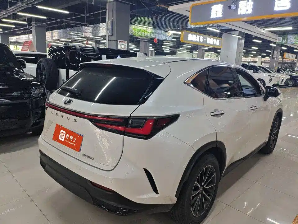 Lexus NX 2023 260