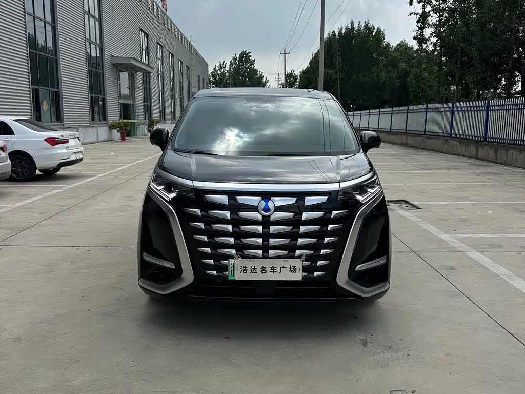 Denza Denza D9 — миниатюра 2