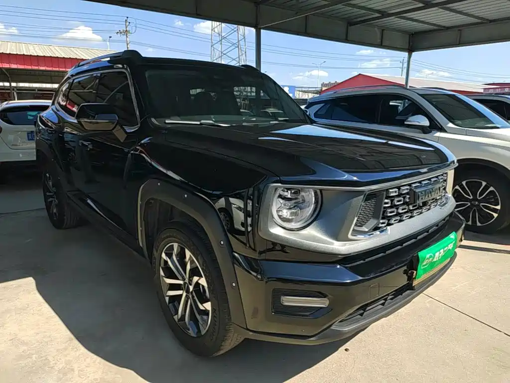 Haval Big Dog PLUS — миниатюра 4