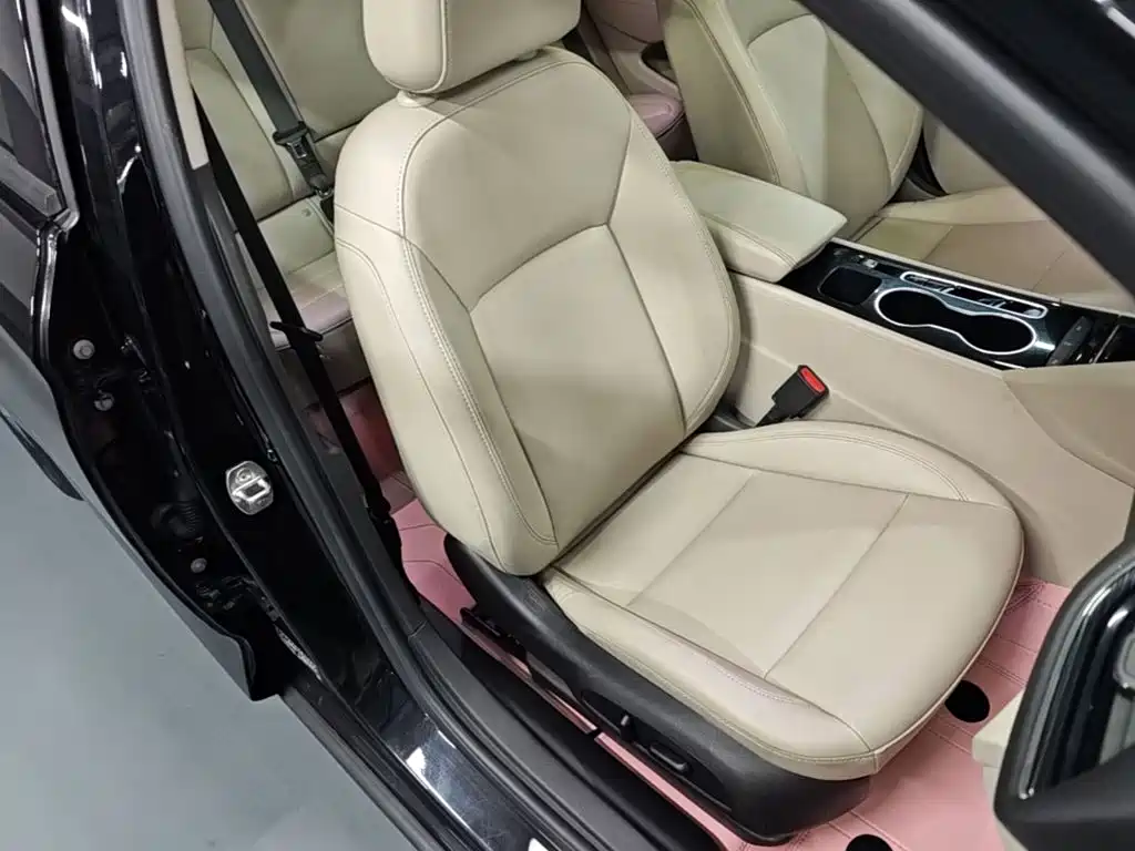 Buick Regal — миниатюра 25