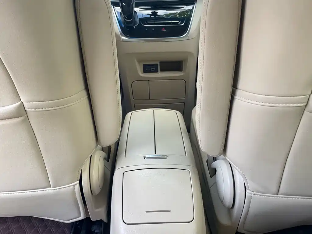 Buick GL8 — миниатюра 13