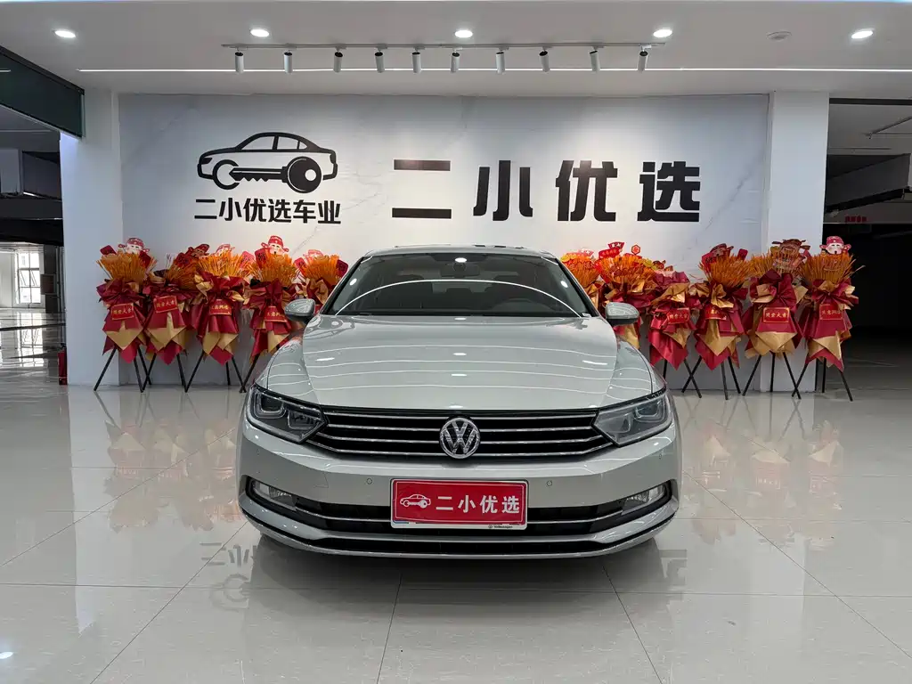 Volkswagen Magotan — миниатюра 2