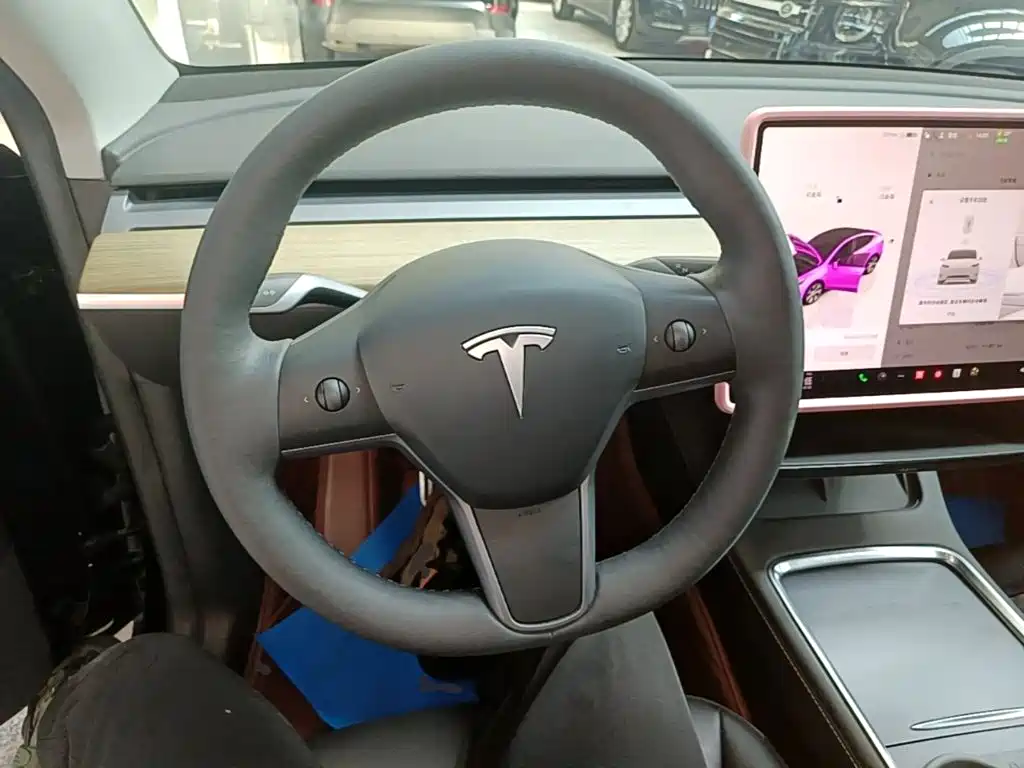 Tesla Model Y — миниатюра 11