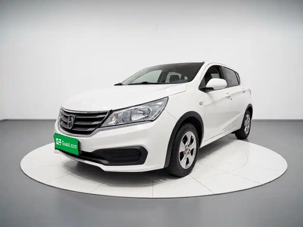 Baojun 310