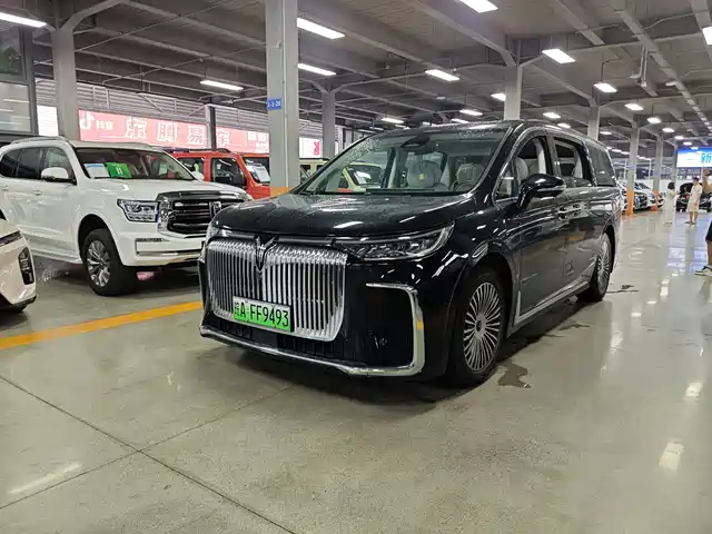 2025 Voyah Dream