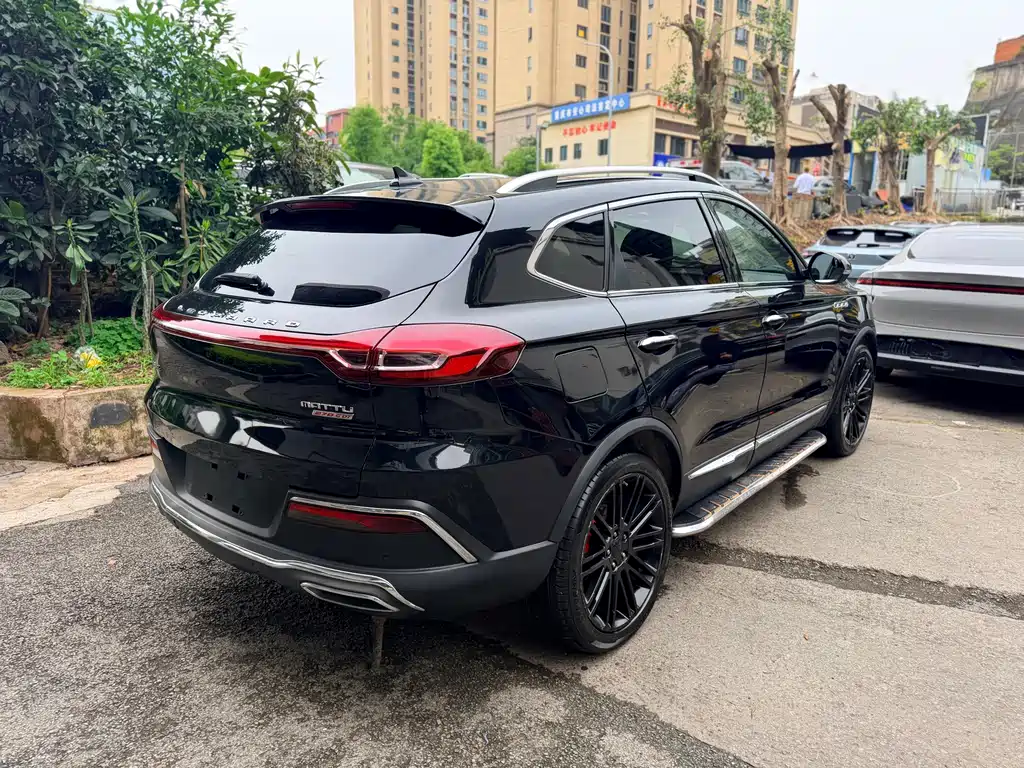 Leopaard Mattu — миниатюра 9