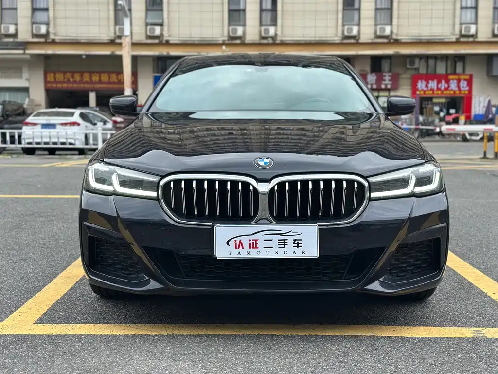 BMW 5 Series — миниатюра 2