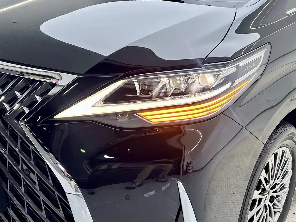 Lexus LM — миниатюра 9