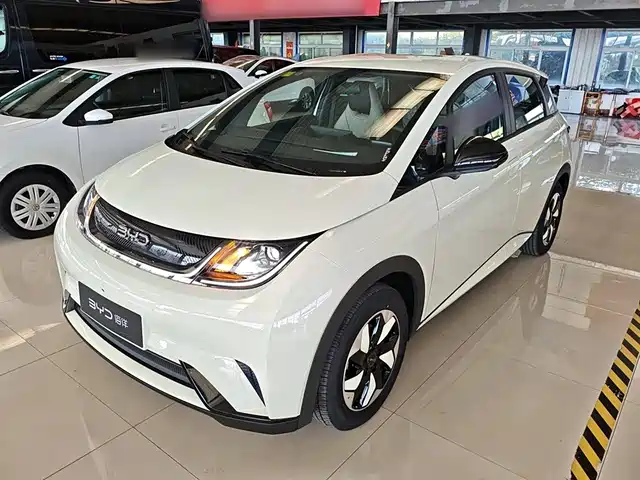 BYD DOLPHIN 2025