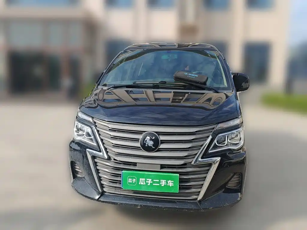 Fengxing Lingzhi — миниатюра 23