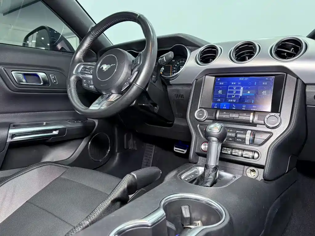 Ford Mustang — миниатюра 11