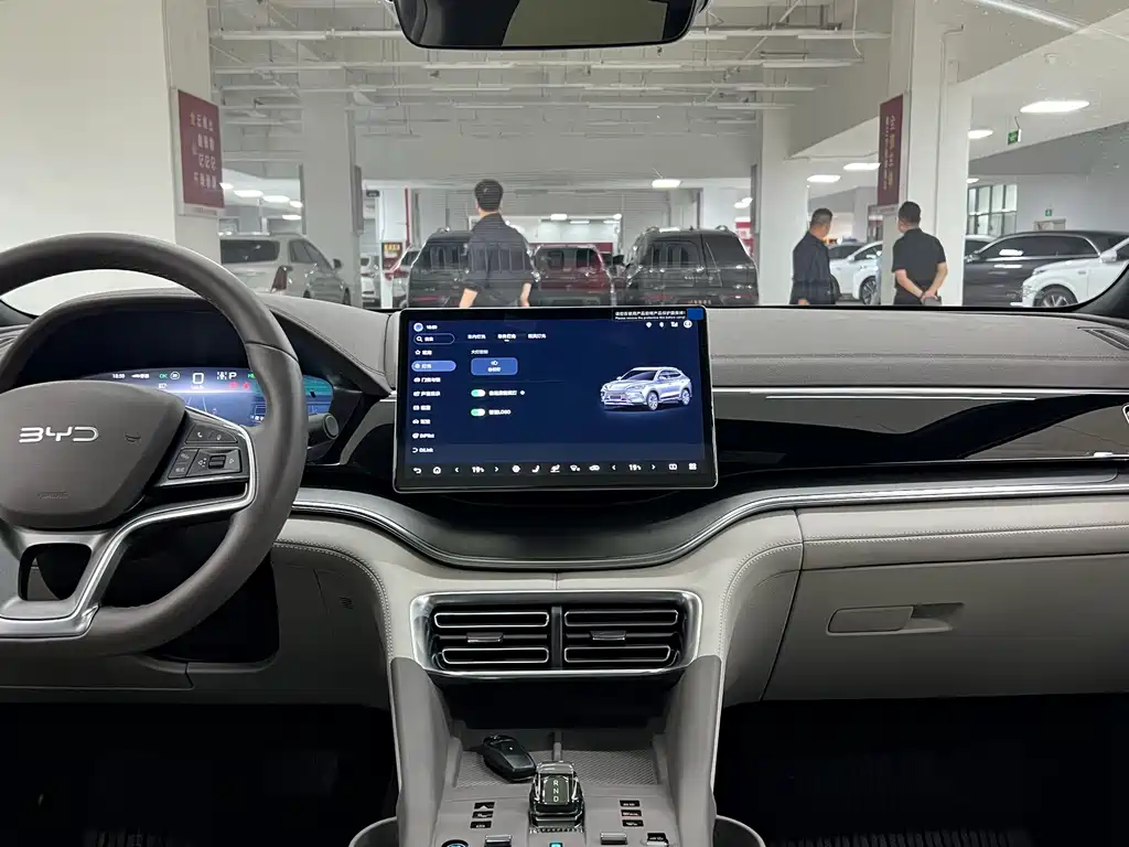 BYD PLUS New Energy — миниатюра 11