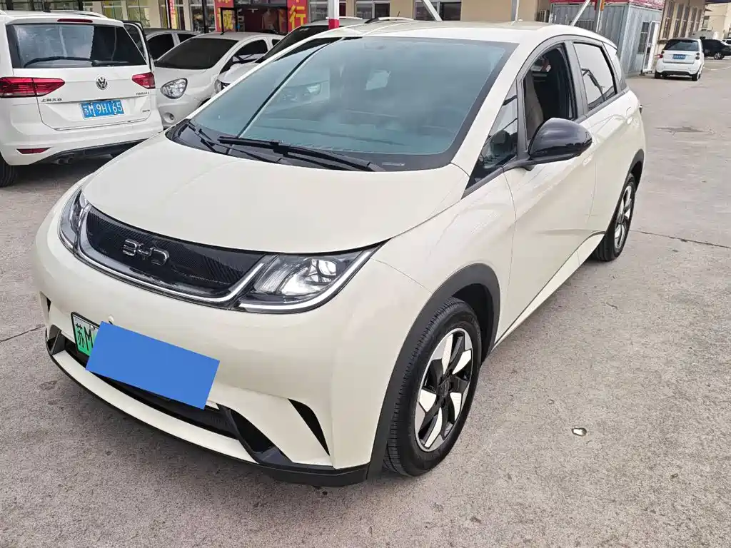 BYD Dolphin