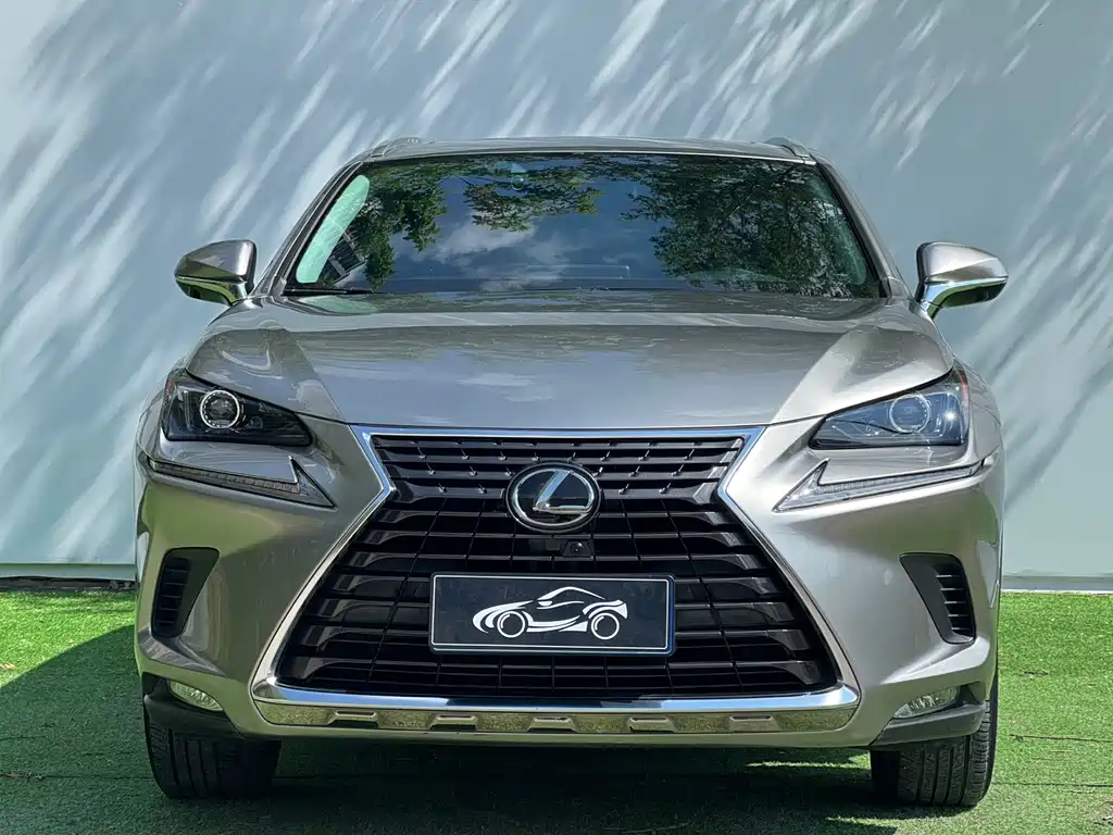 Lexus NX 2020 200 VI