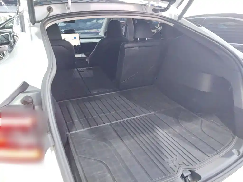 Tesla Model Y — миниатюра 15