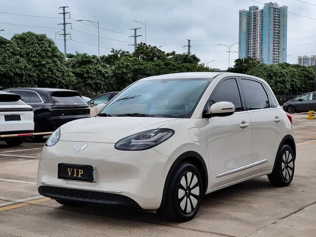 Wuling Bingo 2024