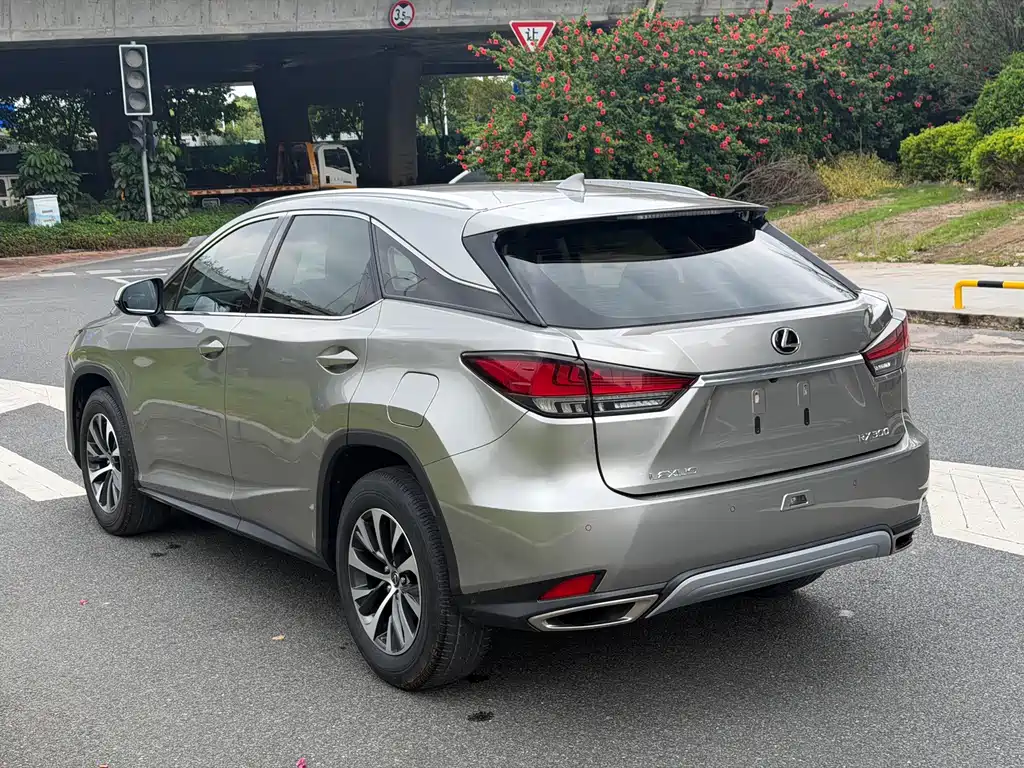 Lexus RX — миниатюра 14