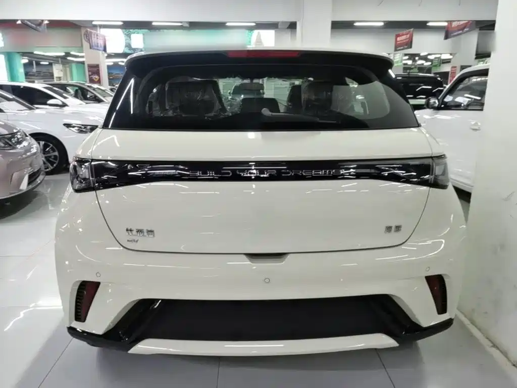 BYD Dolphin — миниатюра 6