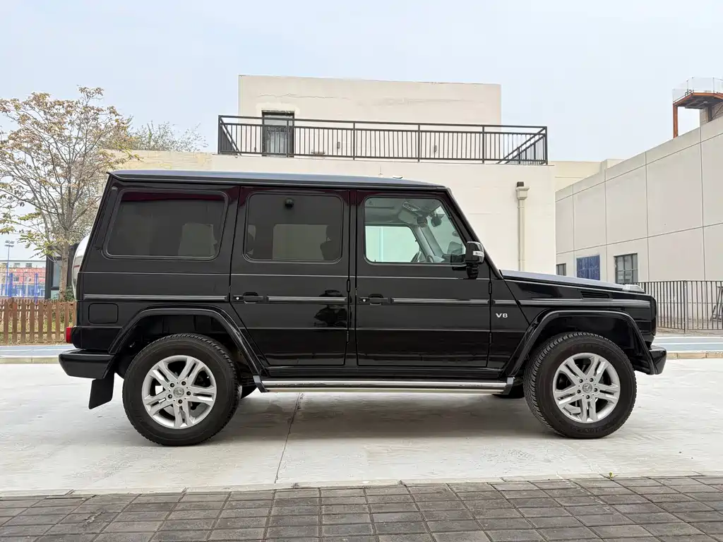 Mercedes-Benz G-Class G 2010 G 500