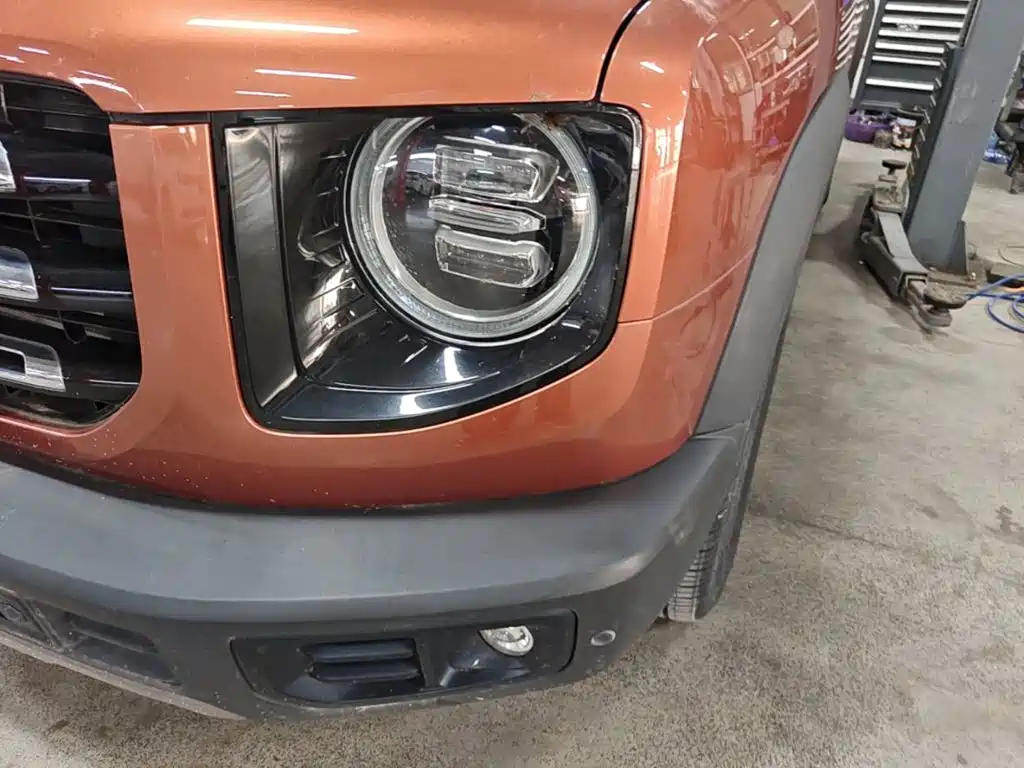 Haval Big Dog — миниатюра 24