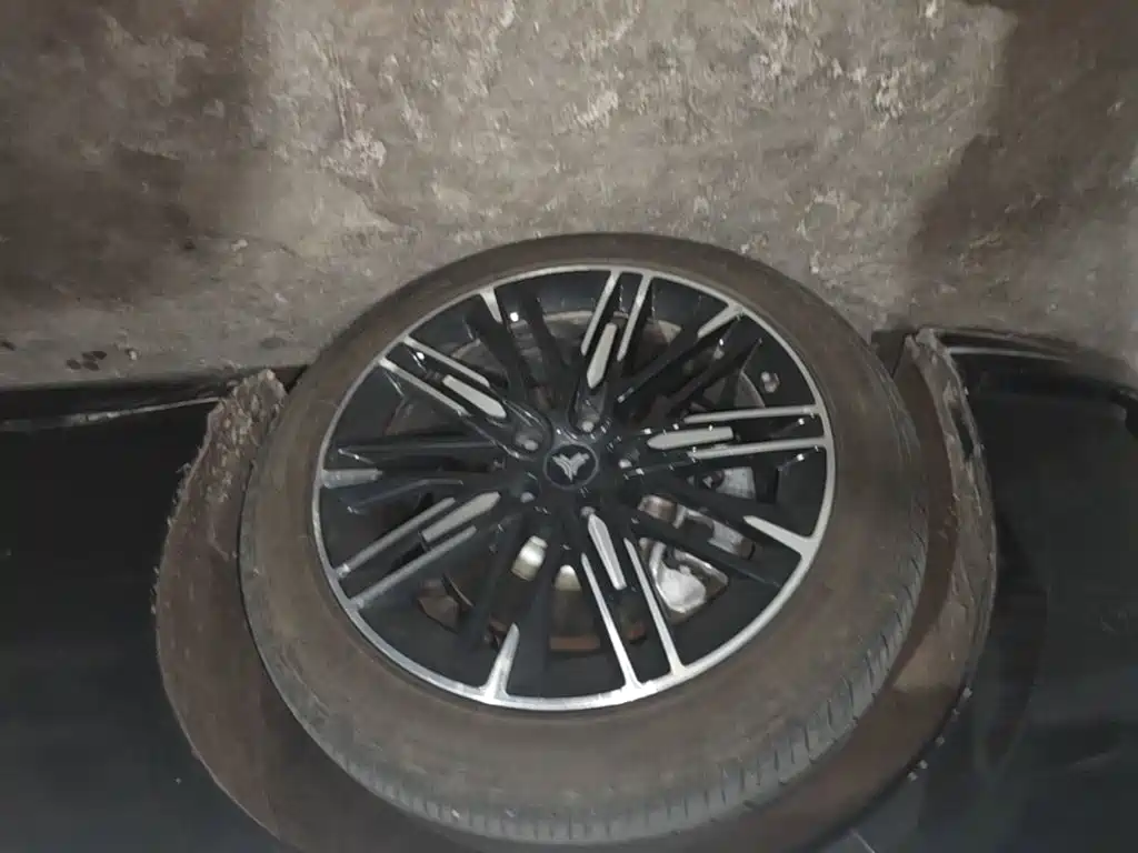 Neta Neta S — миниатюра 25