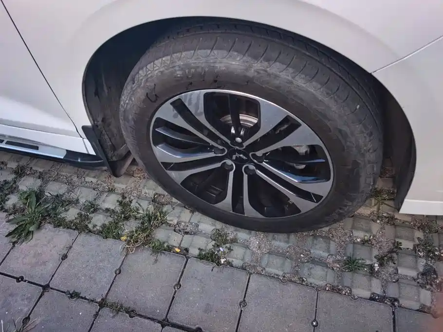 Wuling Victory — миниатюра 6