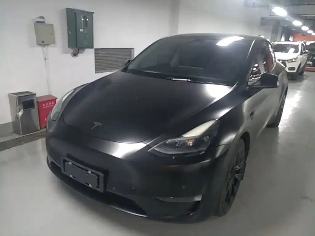 Tesla Model Y — миниатюра 2