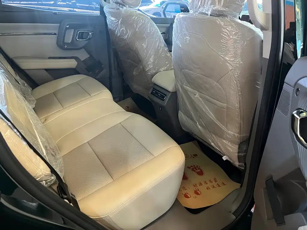 HAVAL SECOND GENERATION BIG DOG NEW ENERGY