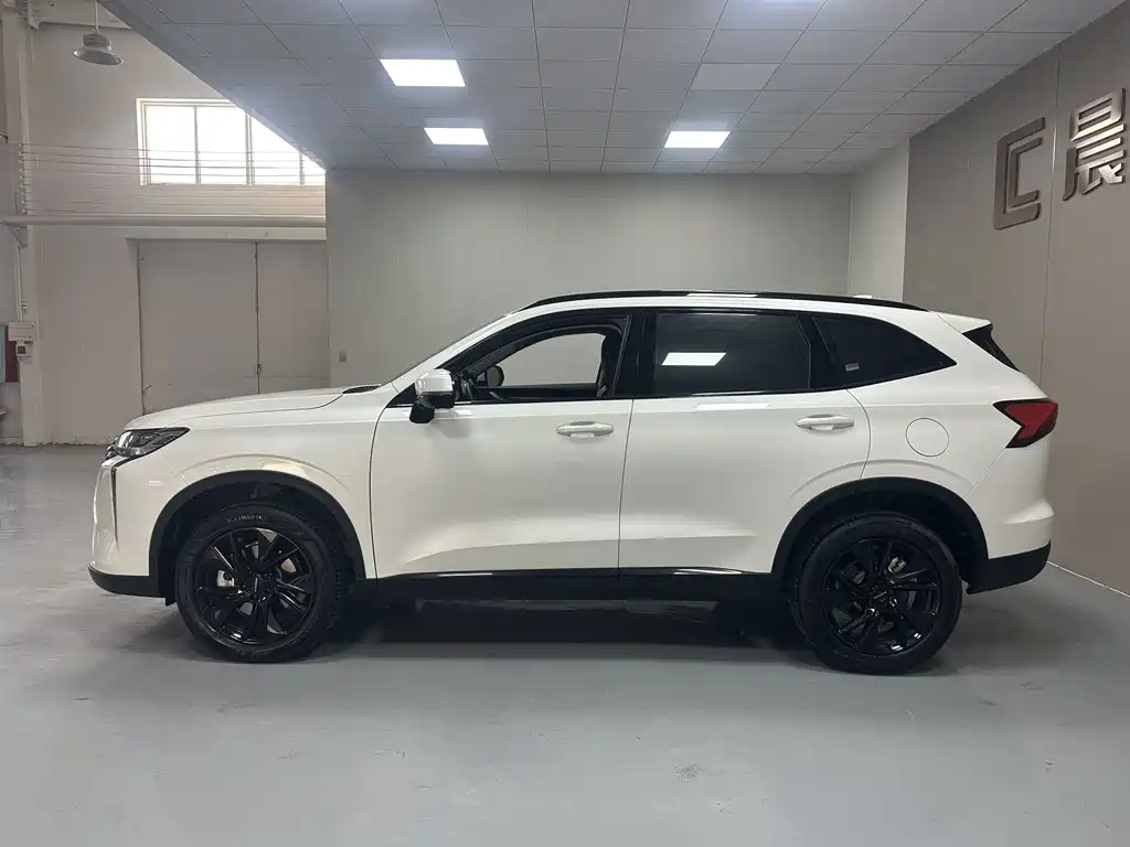 Haval H6 — миниатюра 7