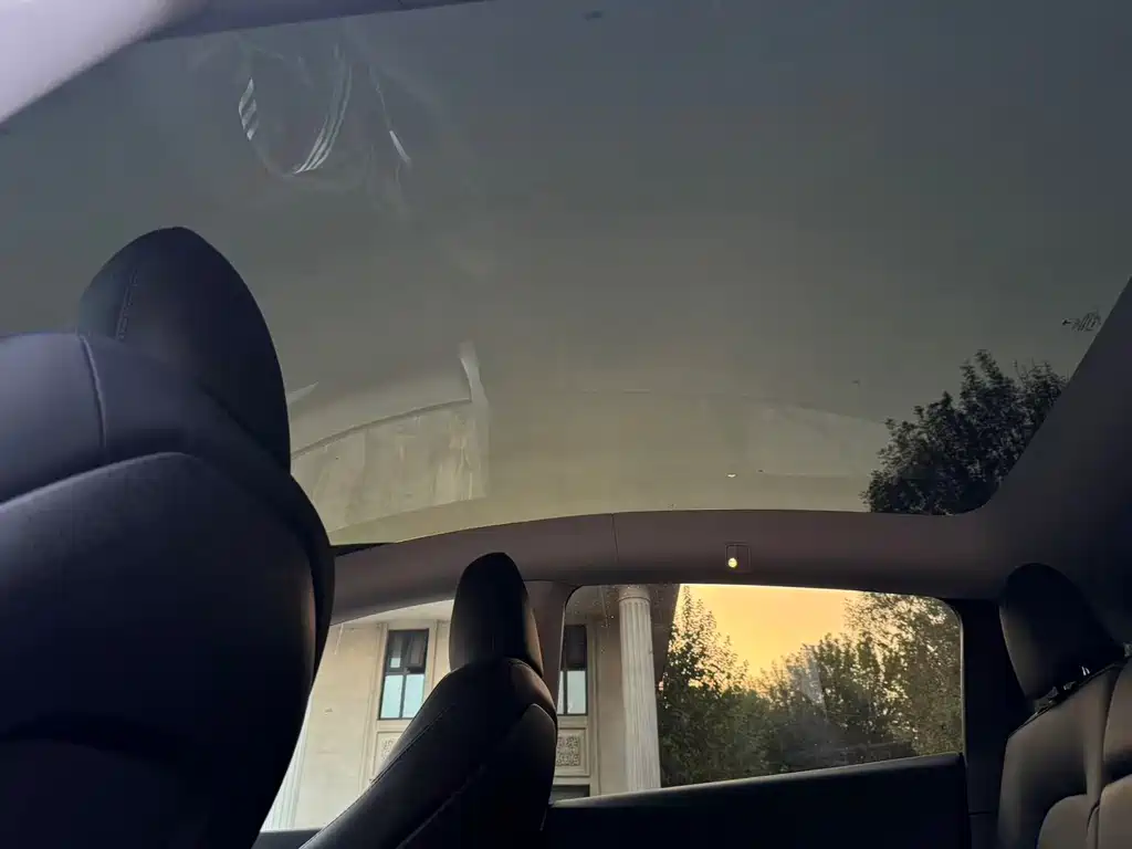 Tesla Model Y — миниатюра 19