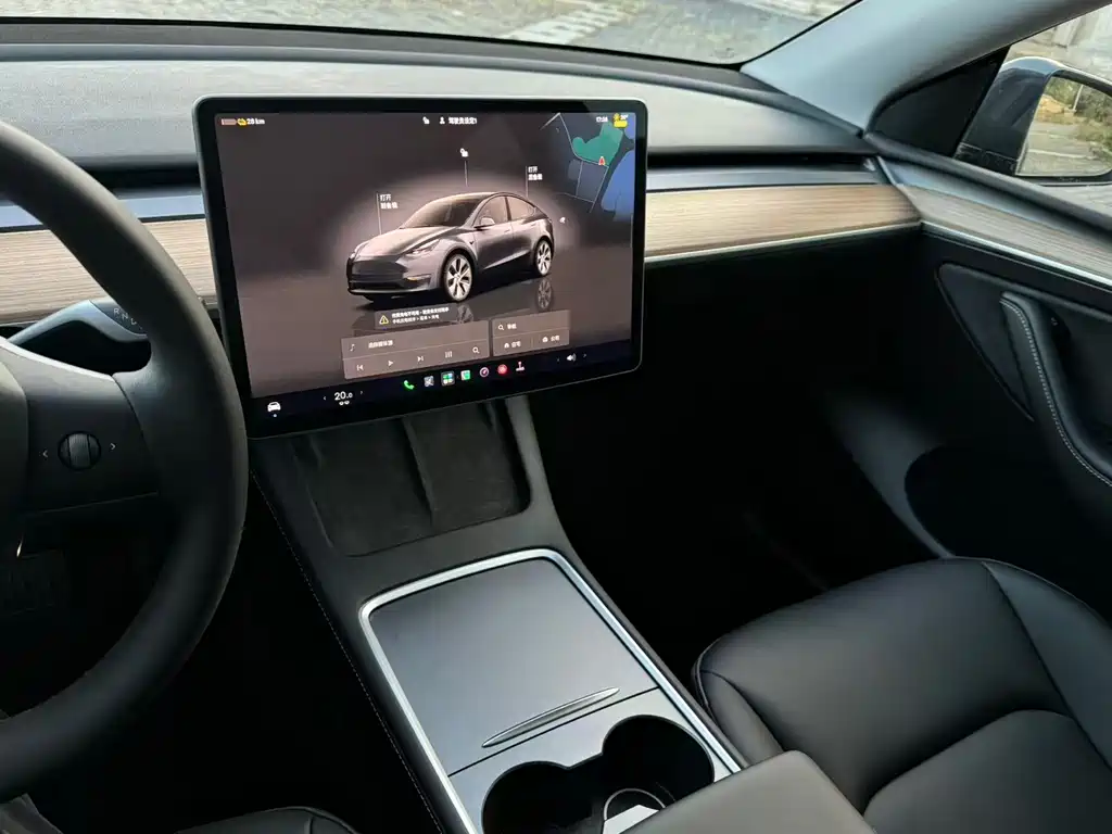 Tesla Model Y — миниатюра 8