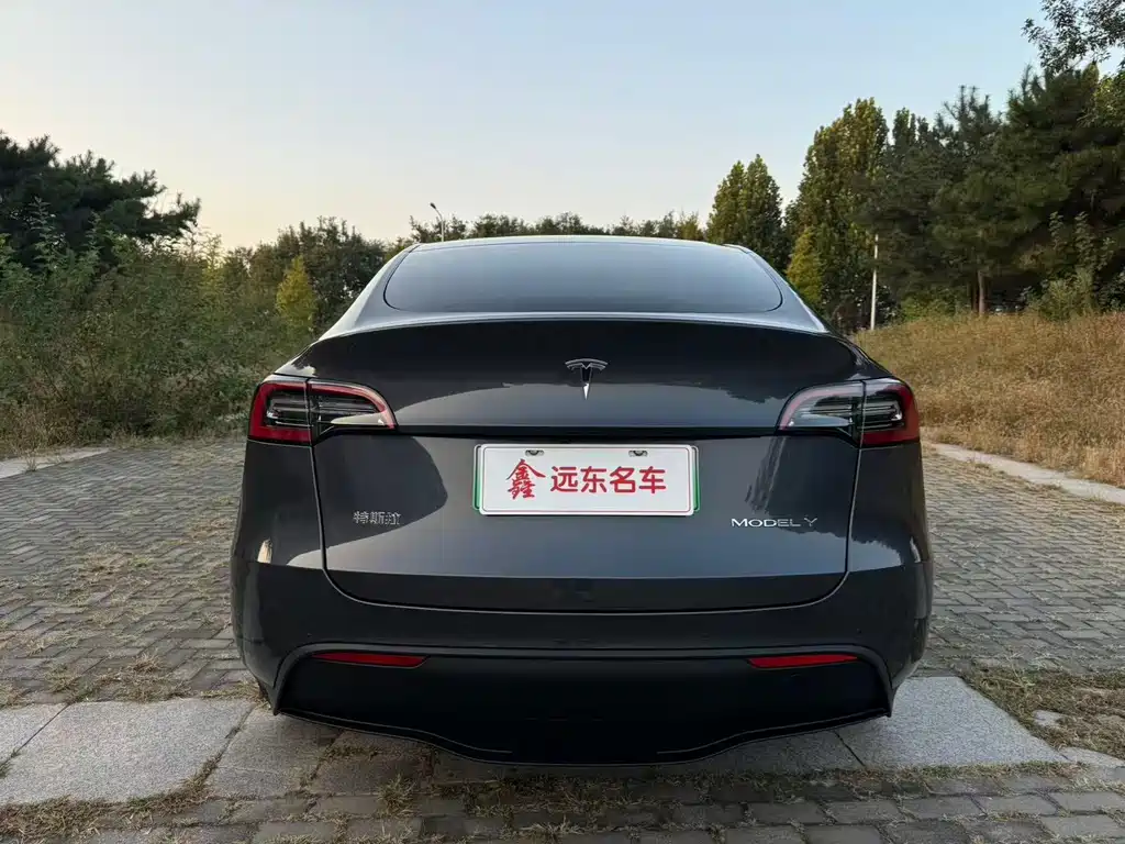 Tesla Model Y — миниатюра 20