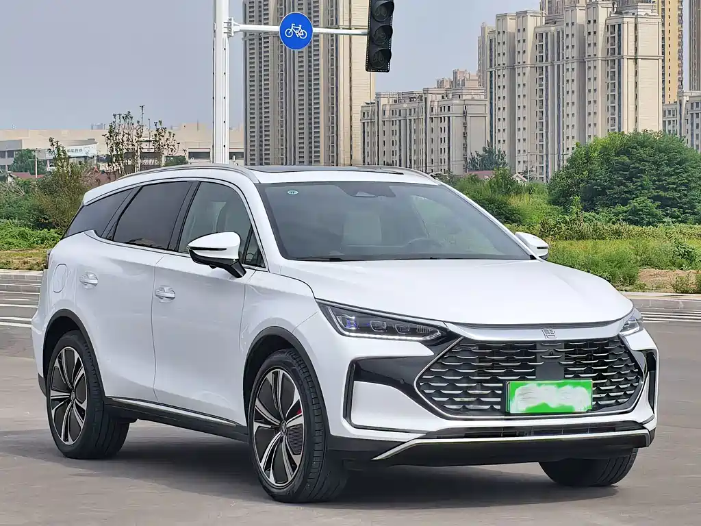 BYD Tang New Energy DM-p Champion Edition 215KM 4WD Premium Type, фото 2