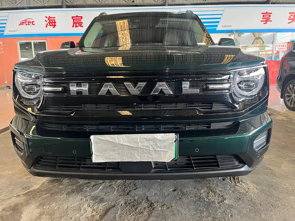 HAVAL SECOND GENERATION BIG DOG NEW ENERGY