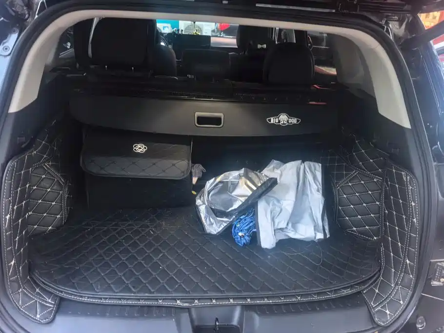 Haval Big Dog PLUS — миниатюра 4