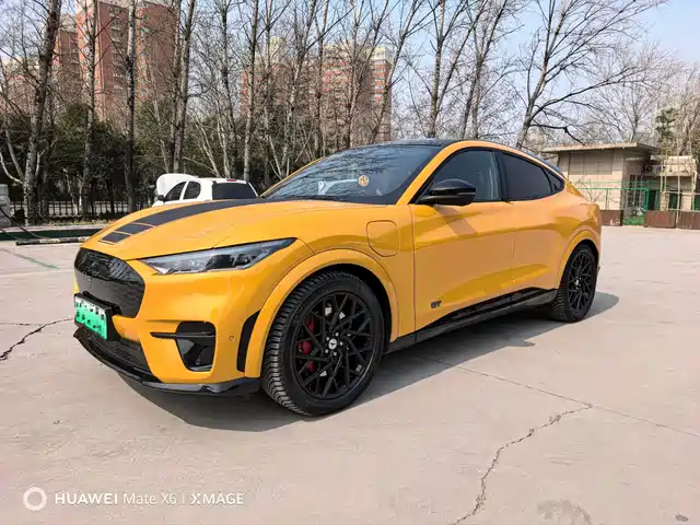 FORD ELECTRIC HORSE 2025