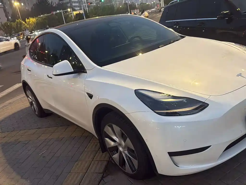 Tesla Model Y — миниатюра 2