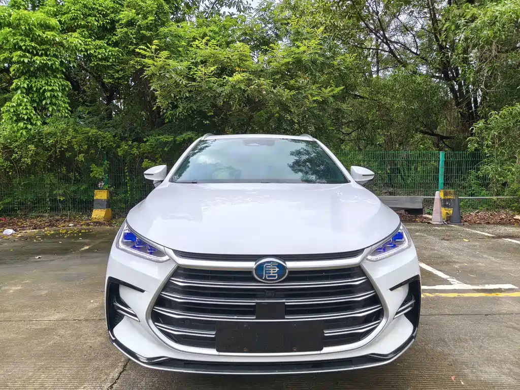 BYD Tang New Energy — миниатюра 6