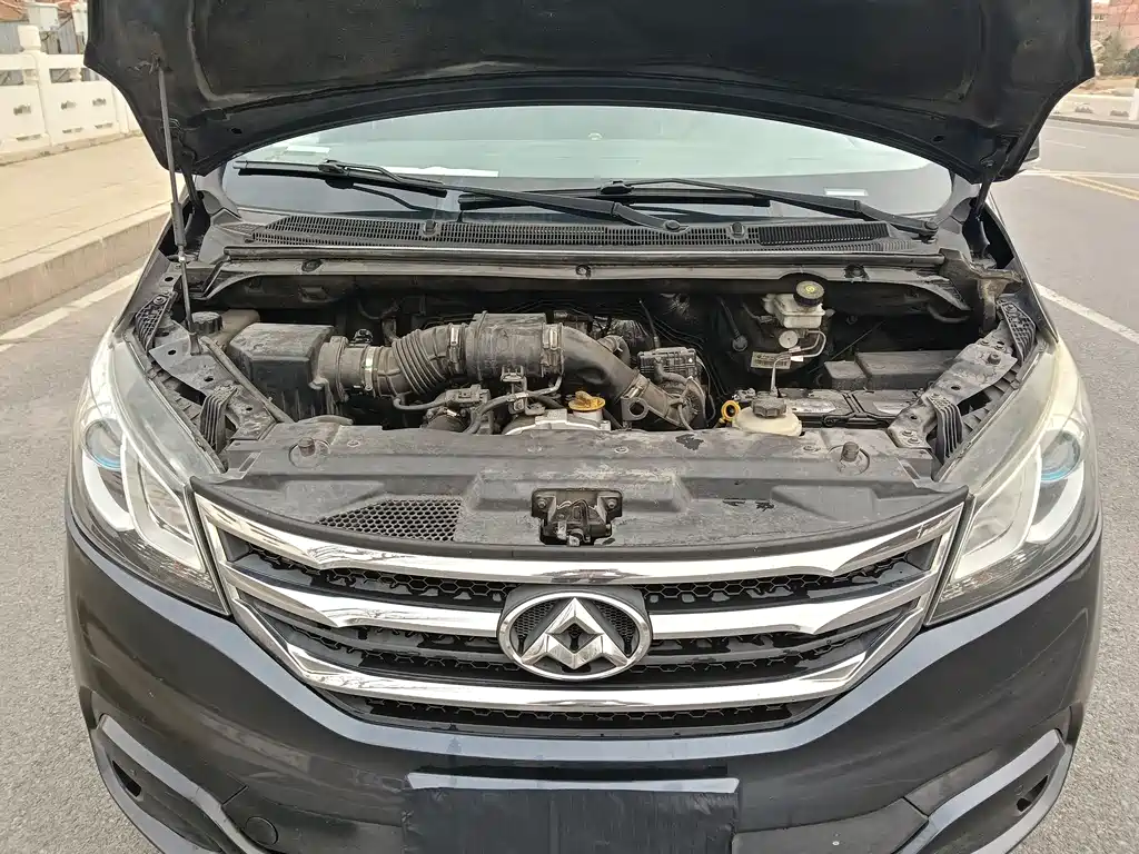 SAIC MAXUS CHASE G10